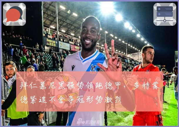 拜仁慕尼黑强势领跑德甲，多特蒙德紧追不舍争冠形势激烈