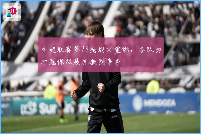 中超联赛第28轮战火重燃，各队为冲冠保级展开激烈争夺